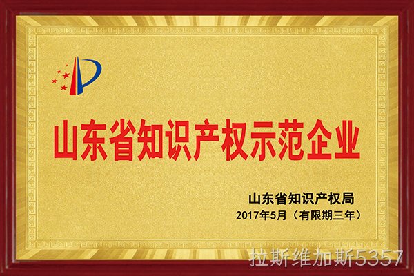拉斯维加斯5357荣获“2017年山东省知识产权示范企业”称号